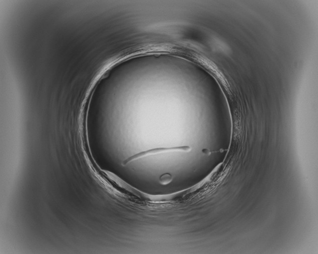 X0000116441483200912151230