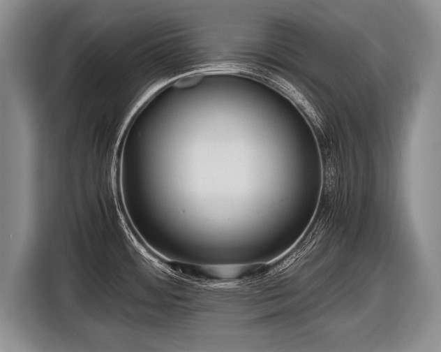 X0000116441484200912151230