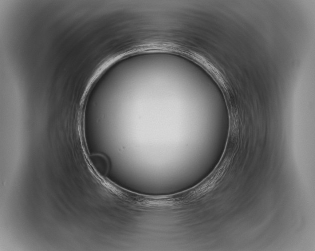 X0000116441486200912151230