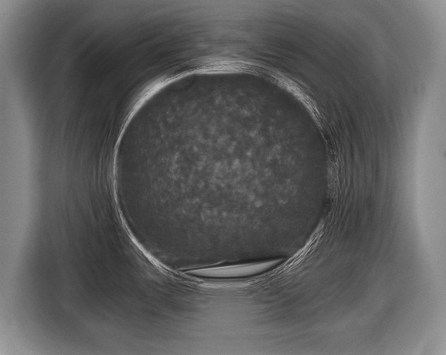 X0000116441487200912151230