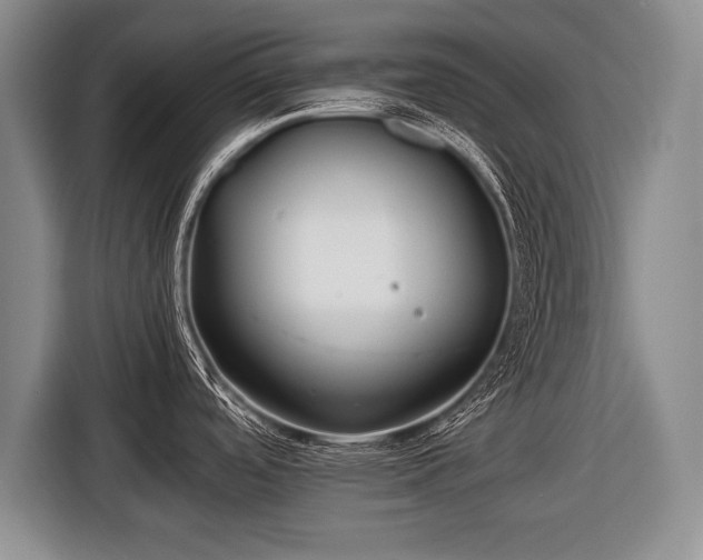 X0000116441488200912151230