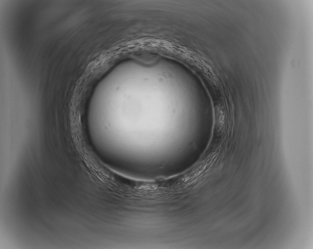 X0000116441489200912151229