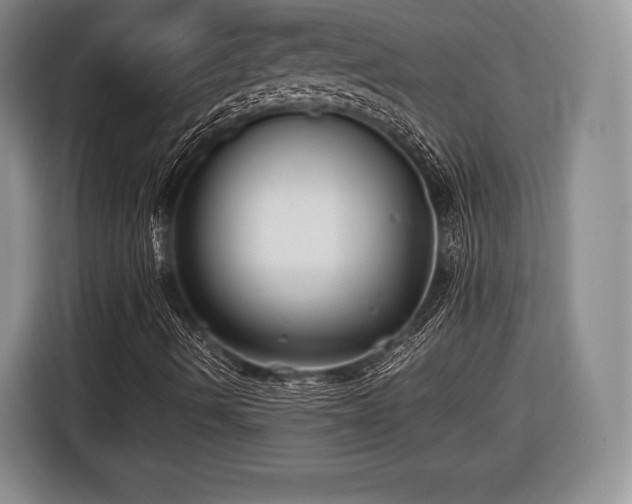 X0000116441490200912151229