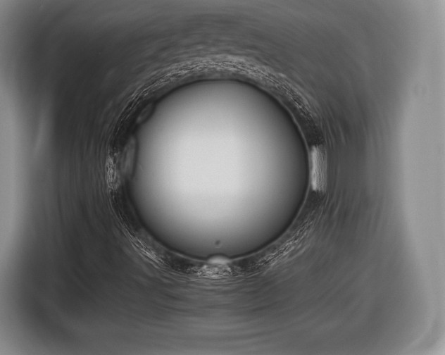 X0000116441491200912151229