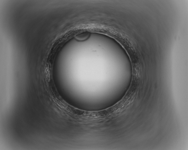 X0000116441493200912151229