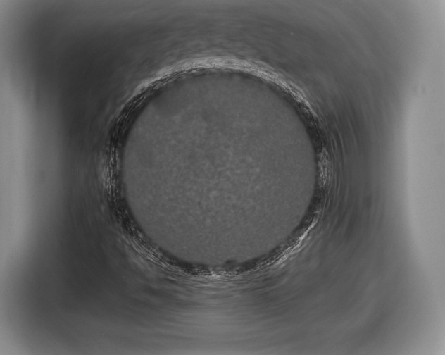 X0000116441494200912151229