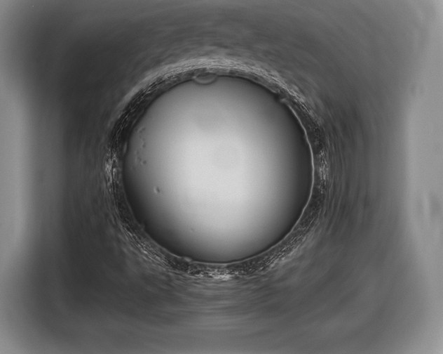 X0000116441495200912151229