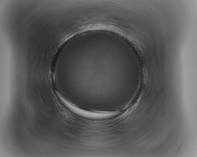 X0000116441497200912151229