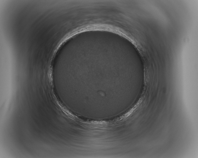 X0000116441498200912151229