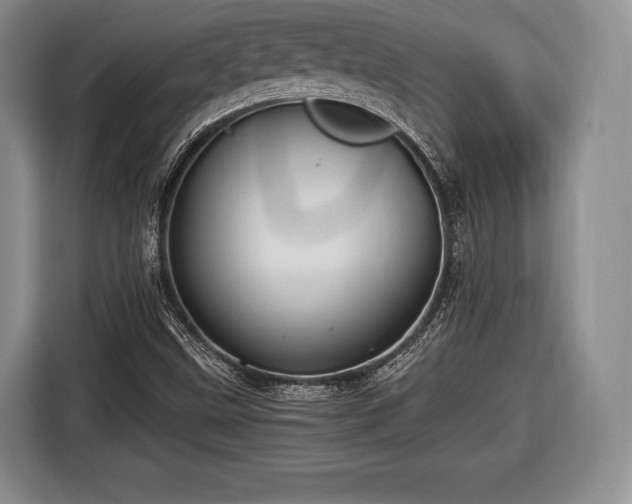 X0000116441499200912151229
