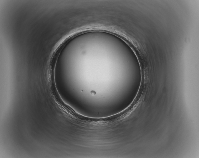 X0000116441502200912151229