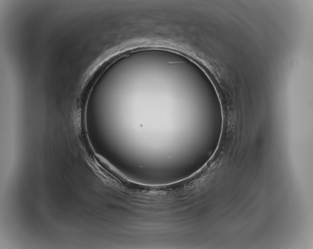 X0000116441503200912151229