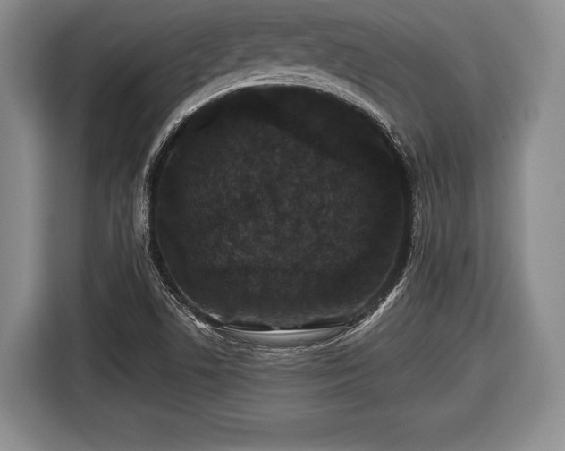 X0000116441506200912151229