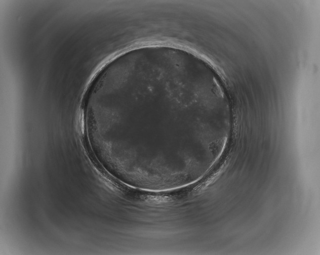 X0000116441509200912151229