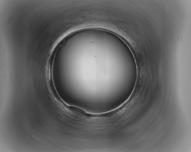 X0000116441510200912151229