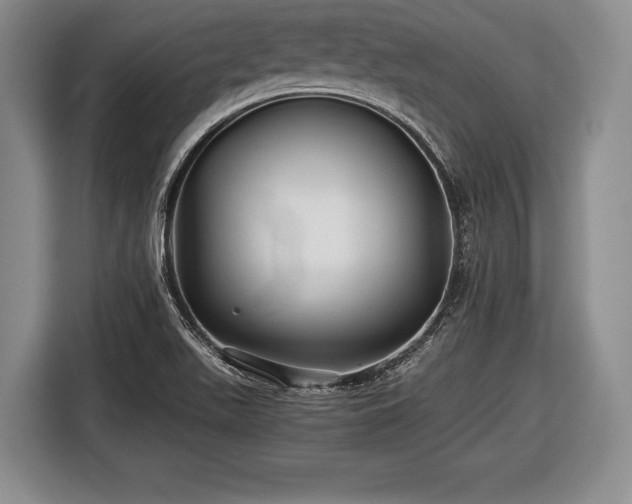 X0000116441511200912151229