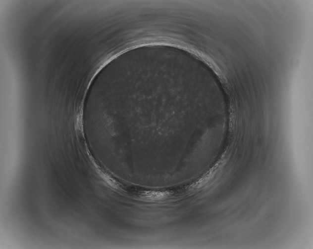 X0000116441513200912151229