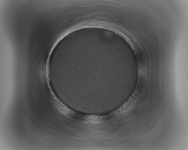 X0000116441514200912151229