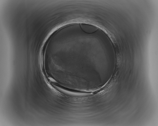 X0000116441515200912151229
