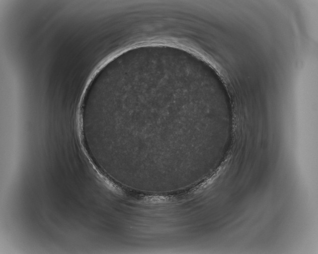 X0000116441517200912151230