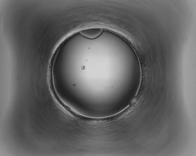 X0000116441518200912151230