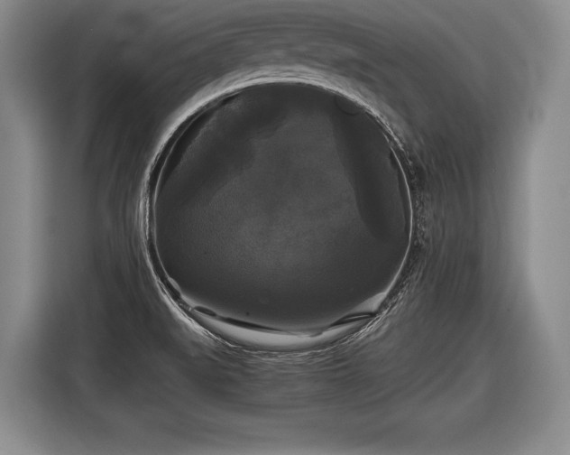 X0000116441519200912151230