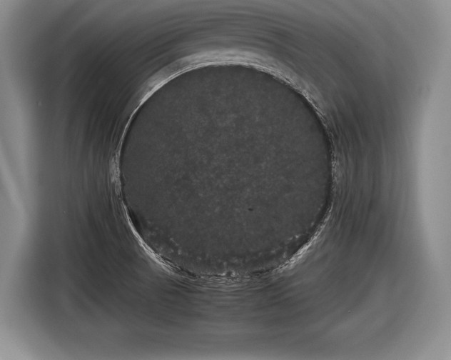 X0000116441521200912151230