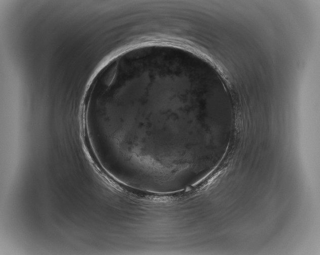 X0000116441522200912151230