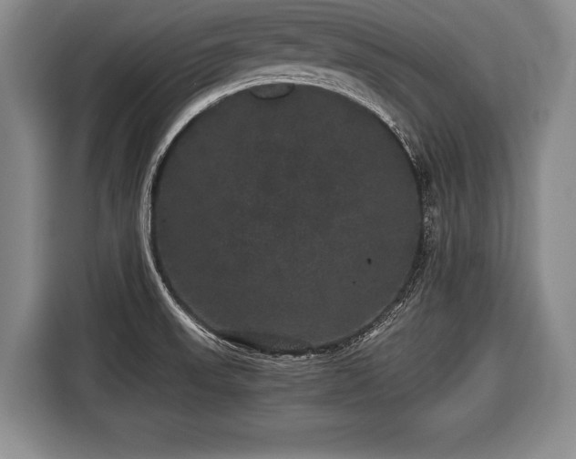 X0000116441523200912151230