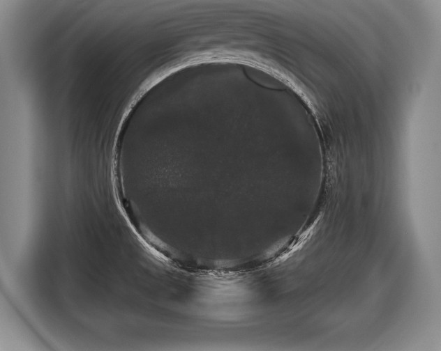 X0000116441525200912151230