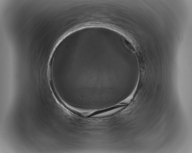 X0000116441527200912151230