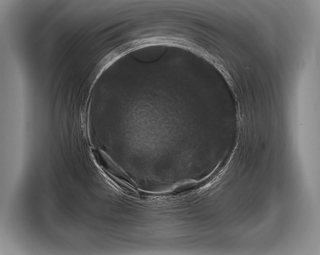 X0000116441529200912151230
