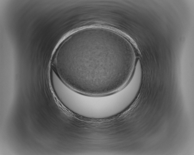 X0000116441530200912151230