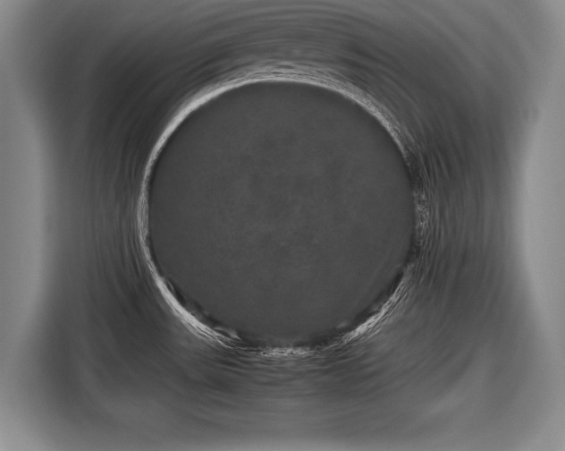 X0000116441531200912151230