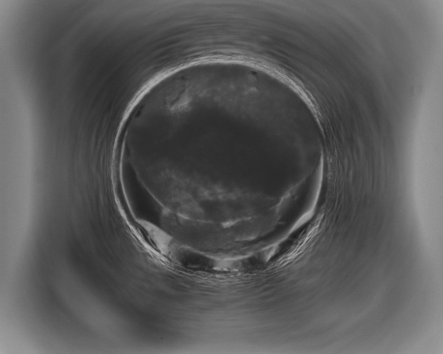X0000116441533200912151230