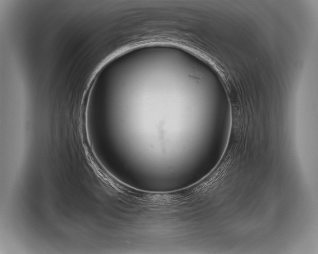 X0000116441534200912151230