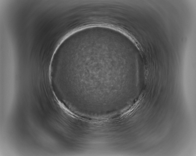 X0000116441535200912151230