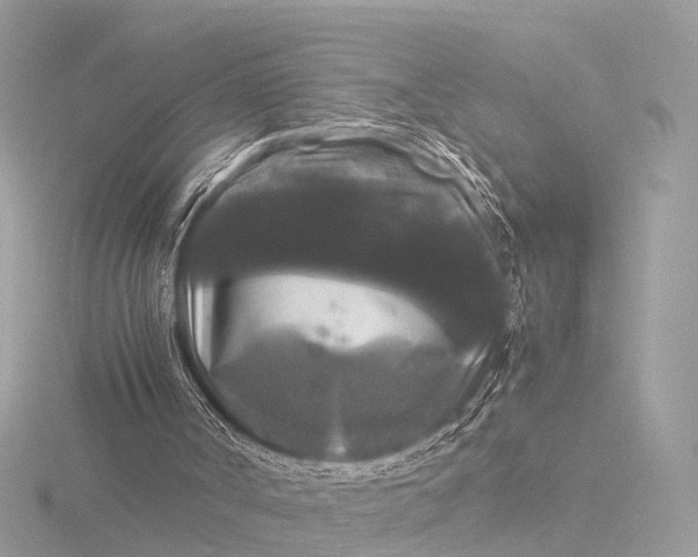 X0000116440002200912221534