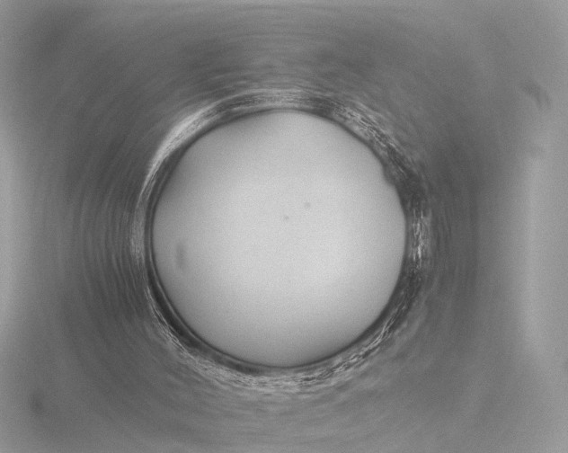 X0000116440004200912221534