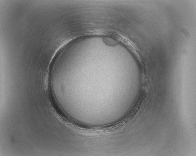 X0000116440012200912221533