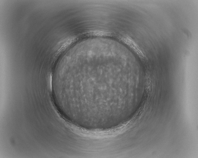 X0000116440014200912221533