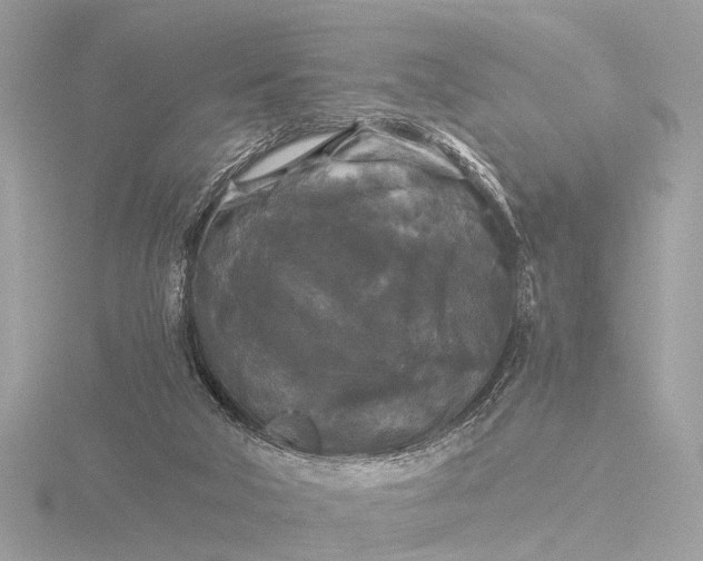 X0000116440018200912221533