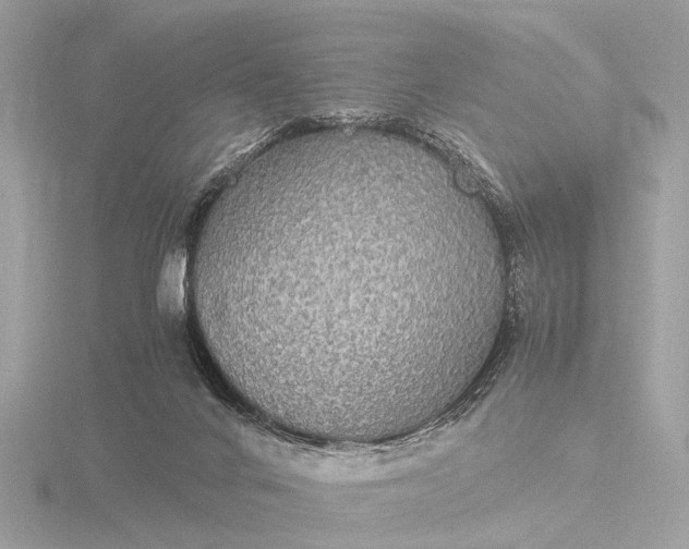 X0000116440024200912221533