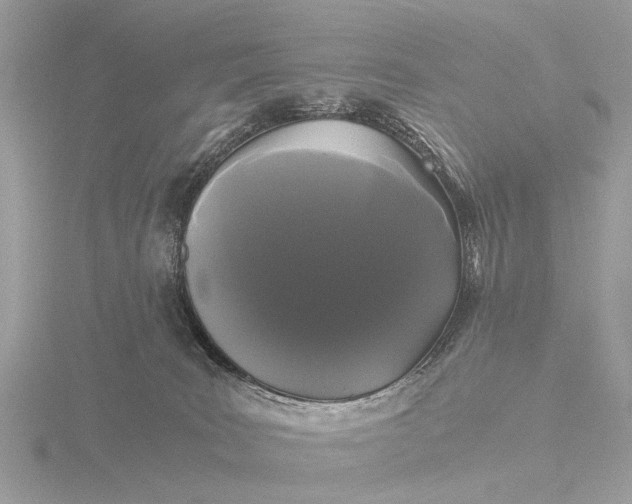 X0000116440035200912221533