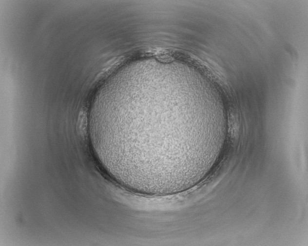 X0000116440036200912221533