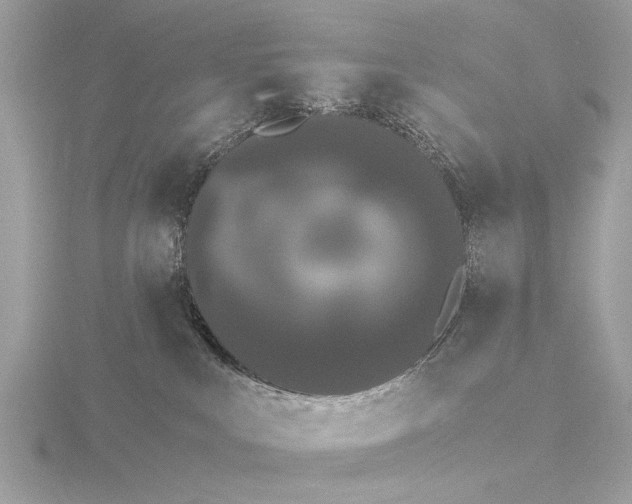 X0000116440043200912221533