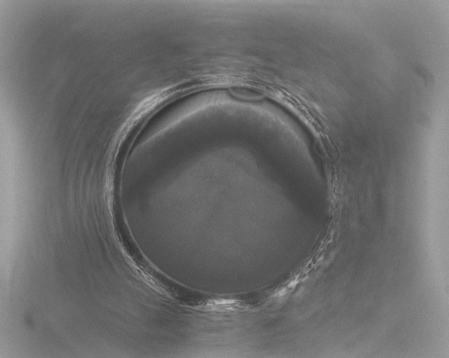 X0000116440055200912221532