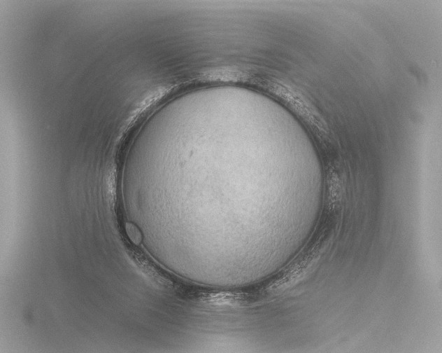 X0000116440064200912221533