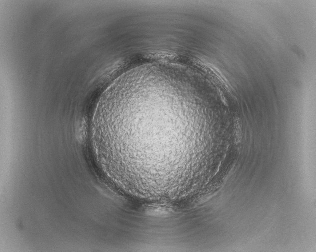 X0000116440077200912221533