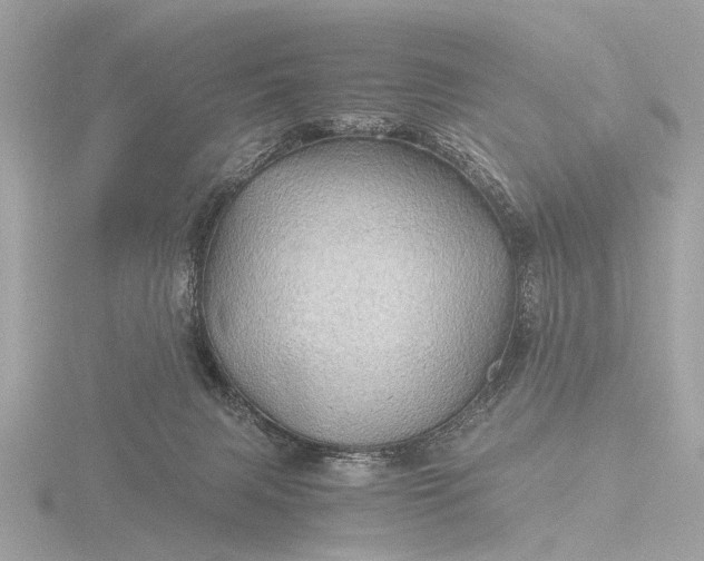 X0000116440079200912221533